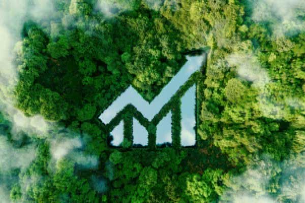 周三热门中概多数上涨，台积电涨2.96%，新东方涨10.50%